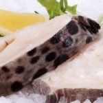 Польза и вред рыбы зубатки